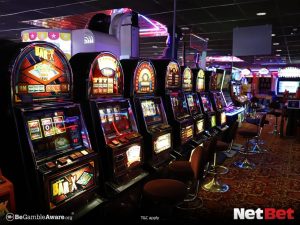 chitaty - App Bet Login
